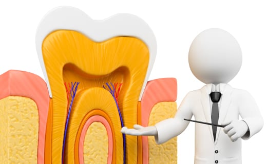 Read more about the article Looking For Root Canal Treatment In Calgary?